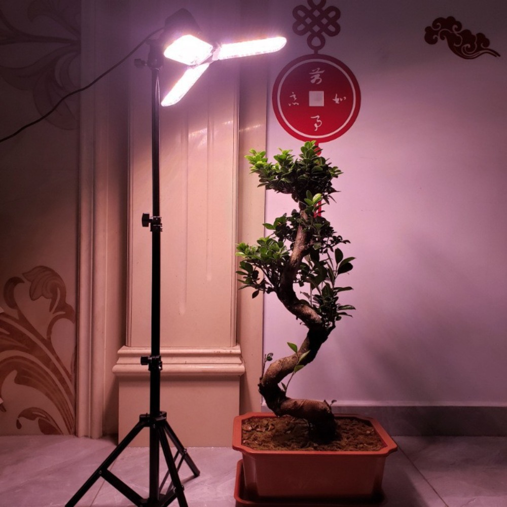 Soporte de bombilla de 2M, enc - Photography Lighting With Umbrella reseña y precio