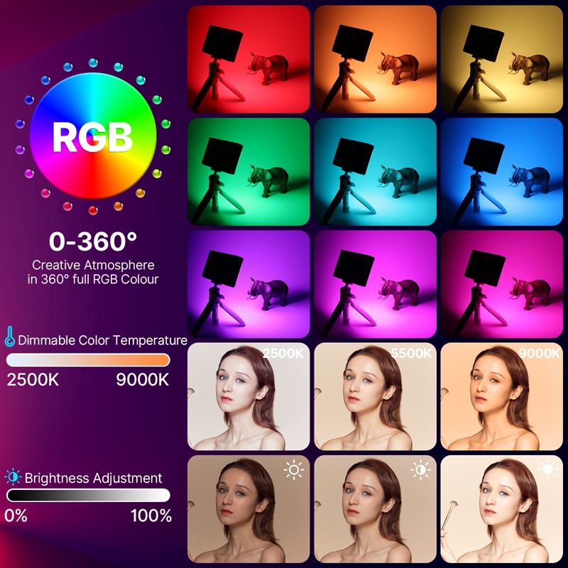 Ulanzi LT002 7 pulgadas de bol - Photography Lighting With Umbrella reseña y precio