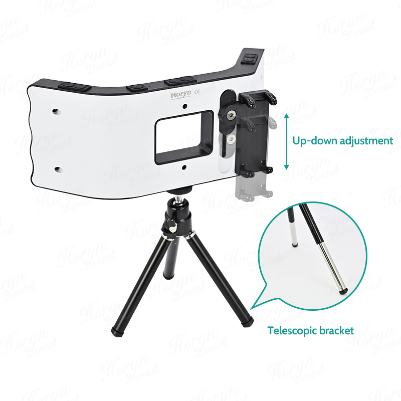 Kit de fotografía Dental, lint - Photography Lighting Spotlight reseña y precio