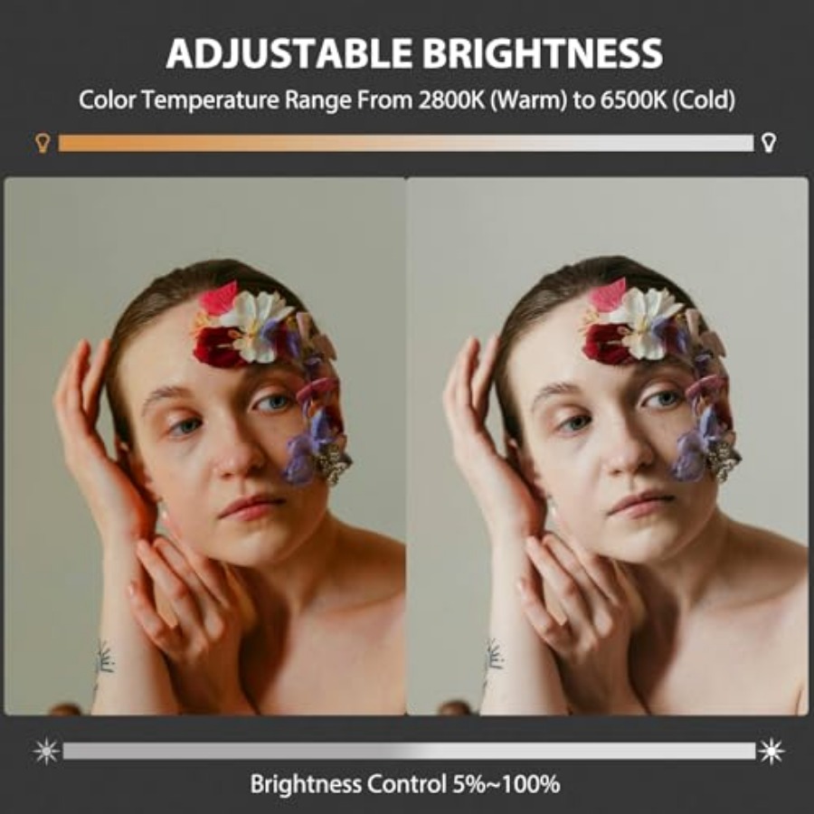 Luz de Video LED COB de 60W, P - Photography Lighting Spotlight reseña y precio