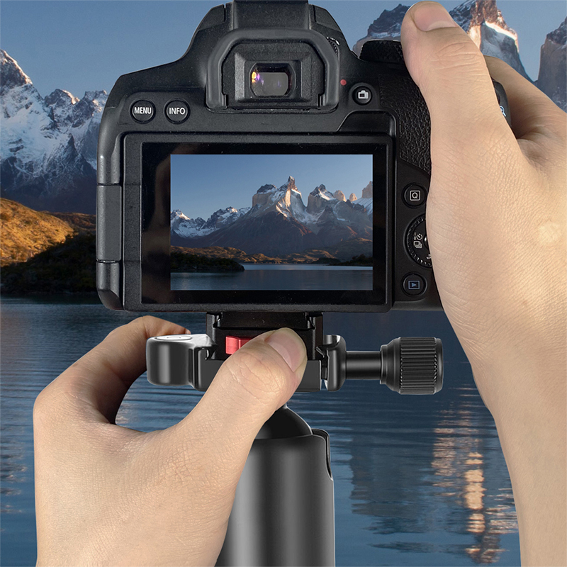 Abrazadera de Liberación Rápid - Photography Video Lighting Kit With Adjustable Tripod Stand reseña y precio